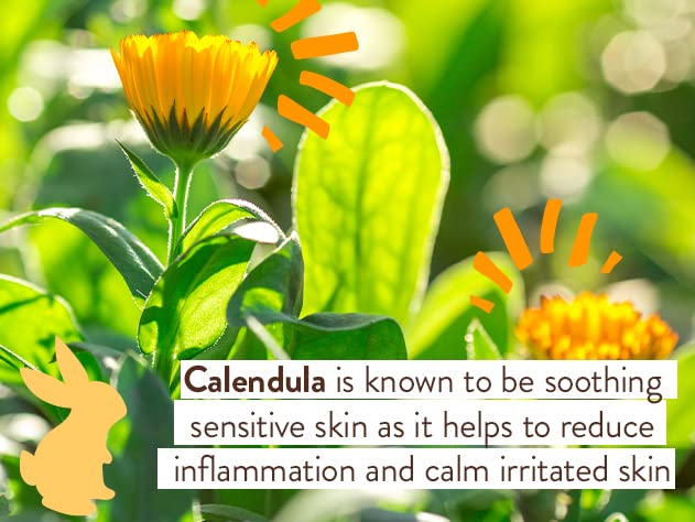 Babo Botanicals Miracle Moisturizing Face & Body Cream - with Natural Oat Extract, Organic Calendula & Shea Butter - For Babies, Kids or Adults with Sensitive or Dry Skin - 2 oz - Image 8